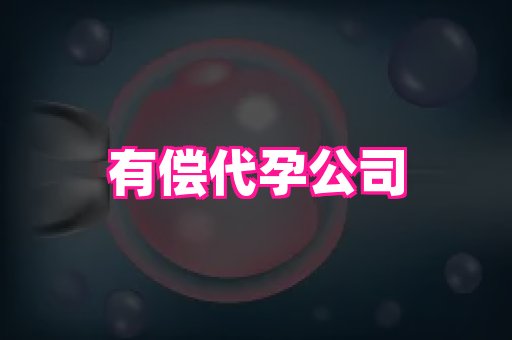 泉州助孕网 1